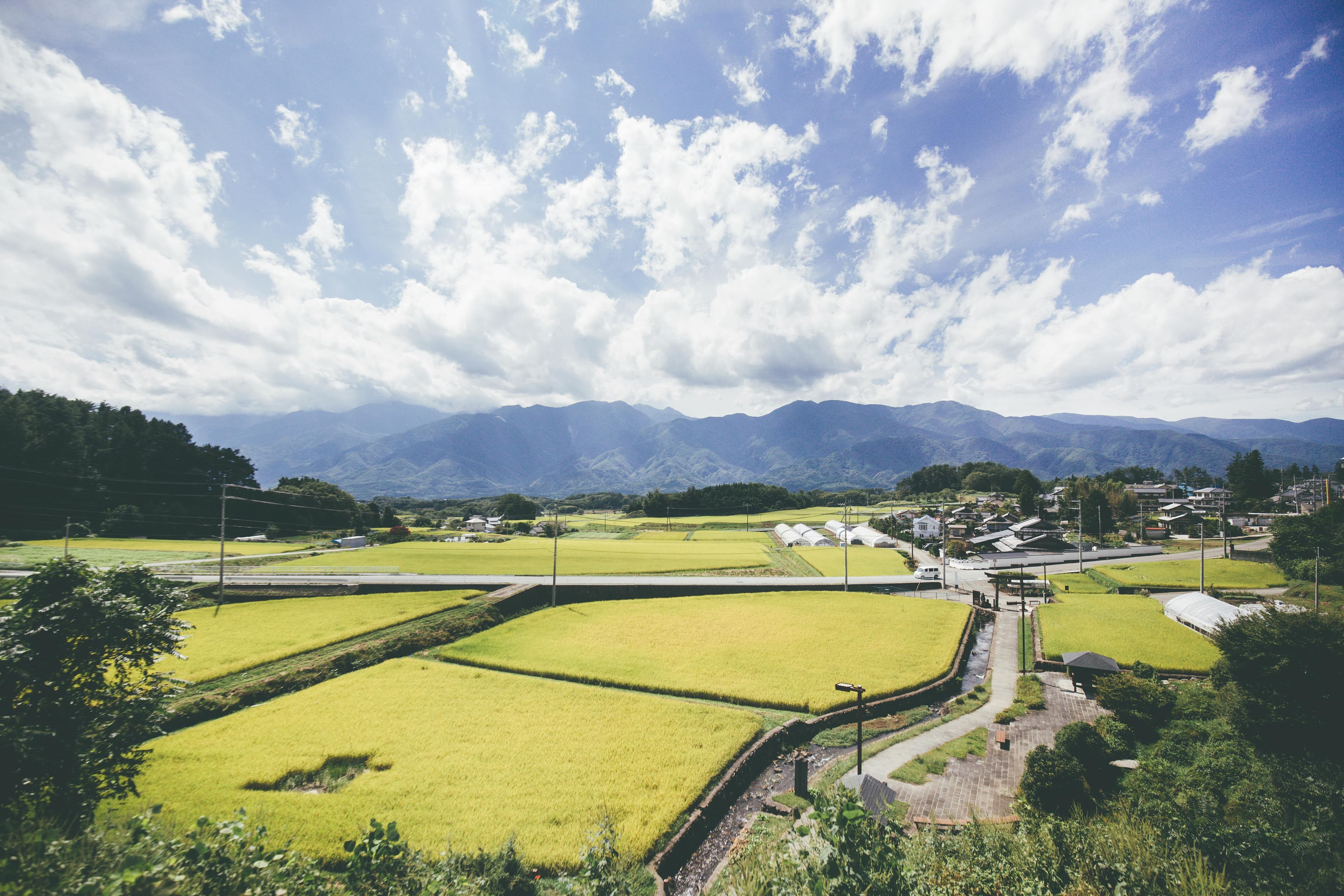 Traditional homes in rural Japan