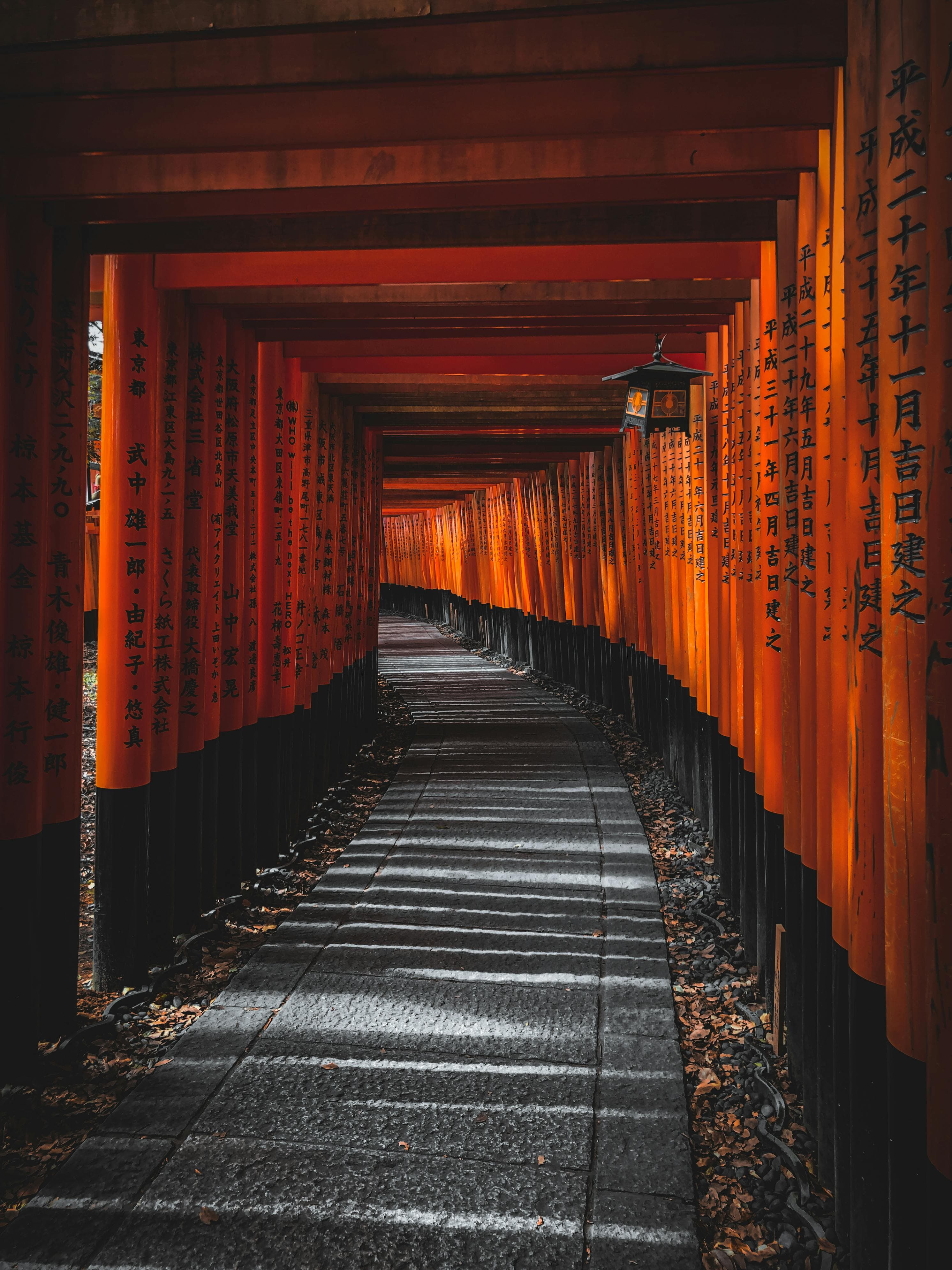 Rows of red torii gates at Fushimi Inari Taisha