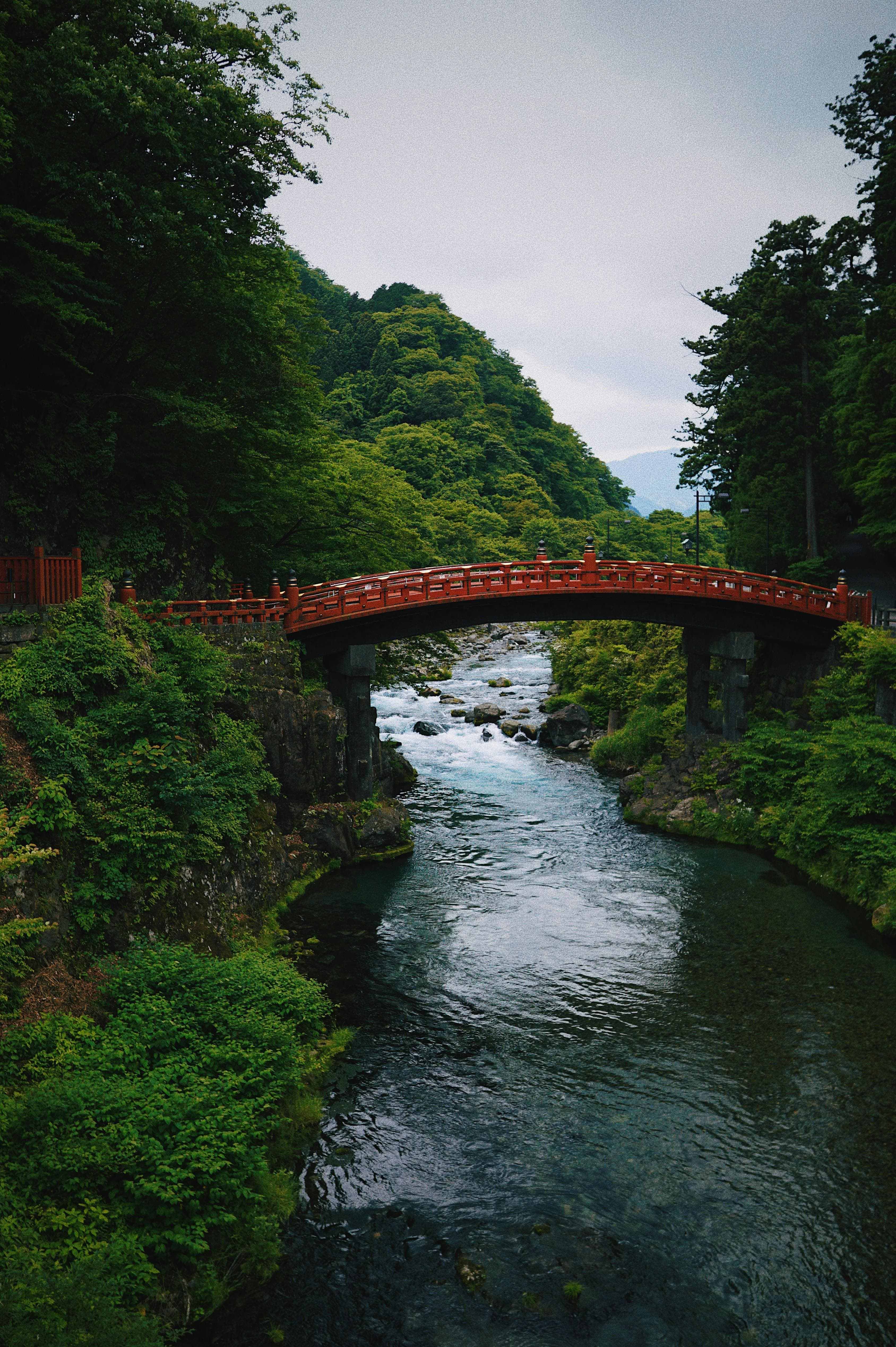 Red Shinkyo Bridge surrounded by forest in Nikko