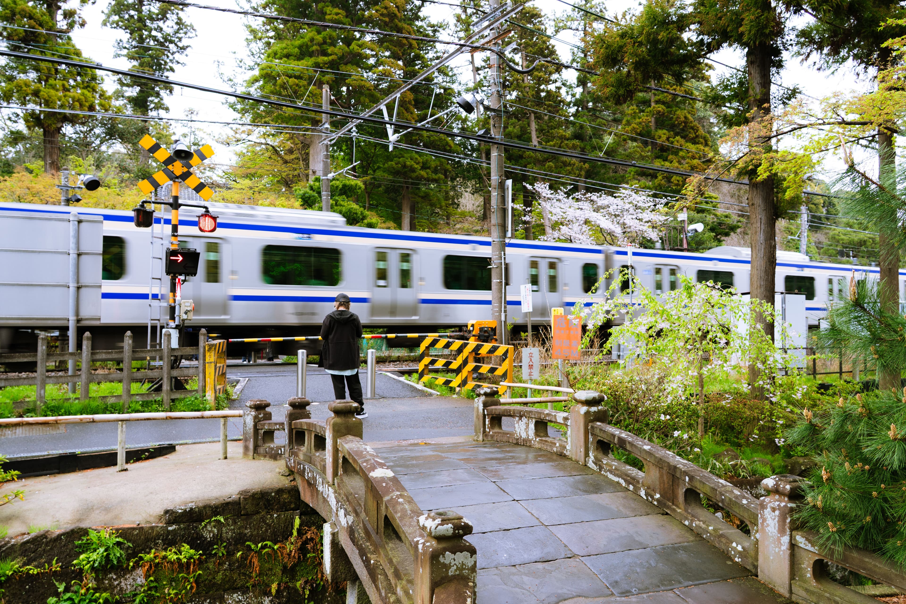 Japan railway train traveling through the countryside
